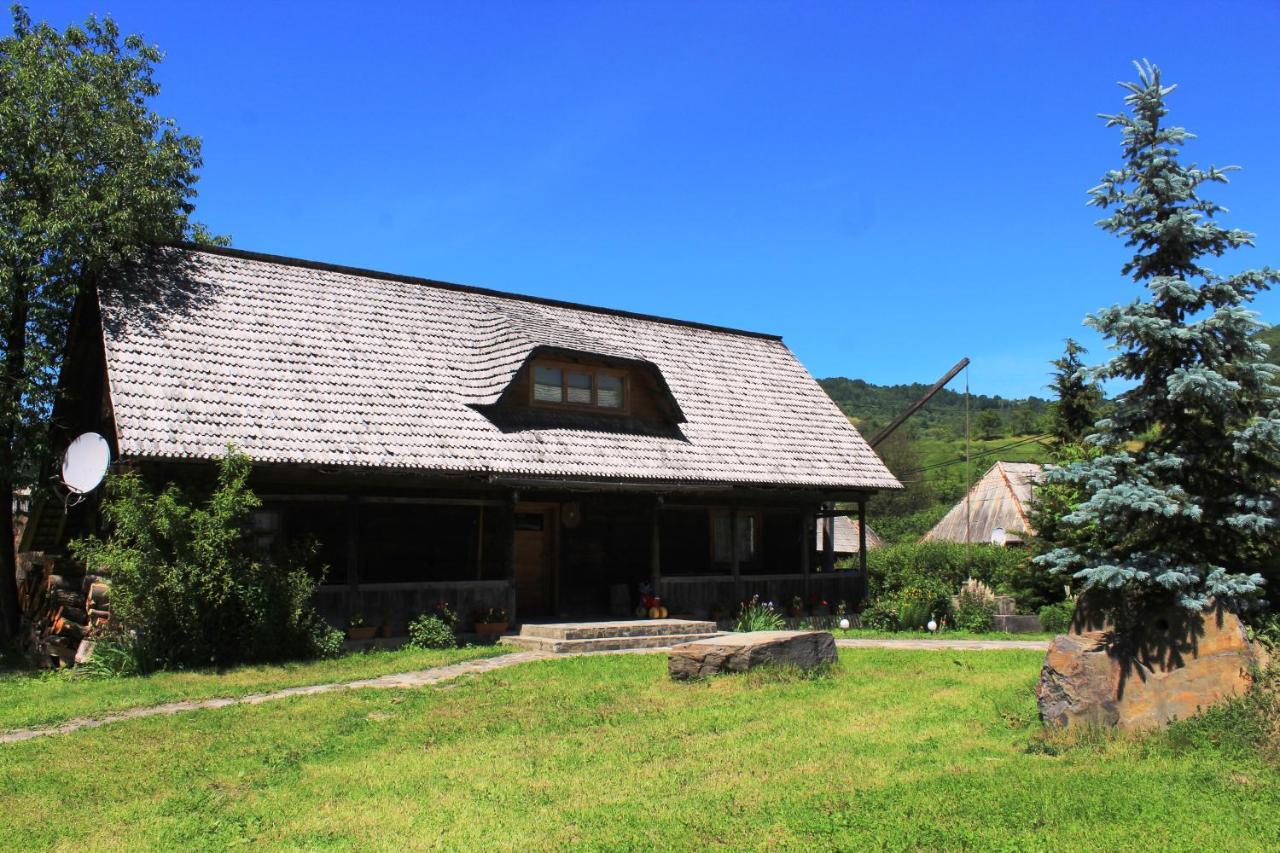 Pensiunea Ioana Vadu Izei Exterior photo