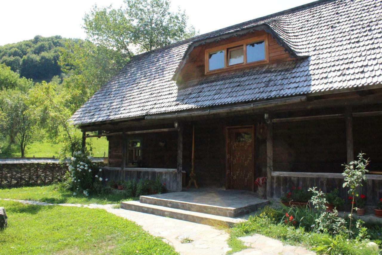 Pensiunea Ioana Vadu Izei Exterior photo